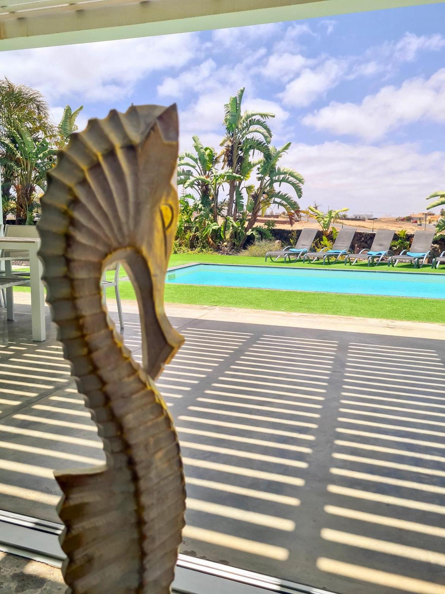 Turquesa 1 Fuerteventura Villa Lajares Dış mekan fotoğraf